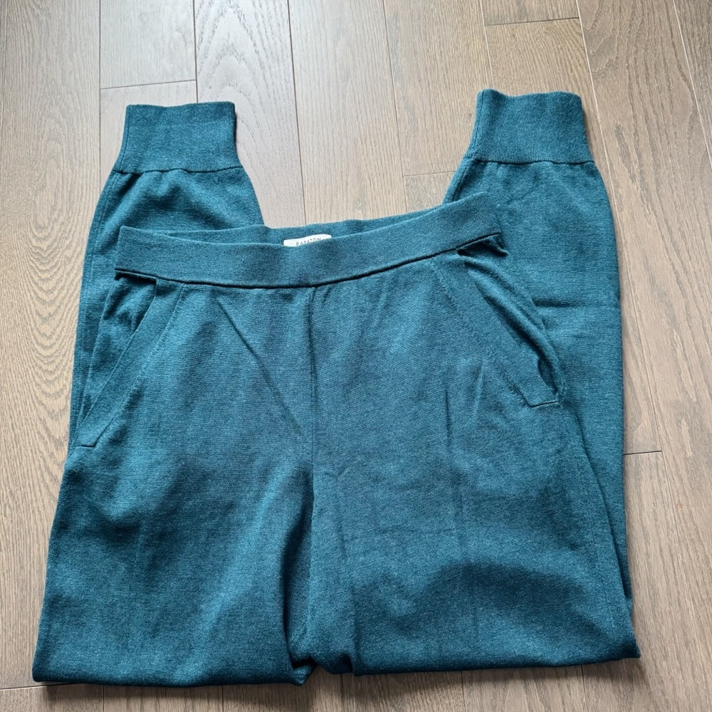 ARITZIA BABATON RODIN KNIT JOGGERS